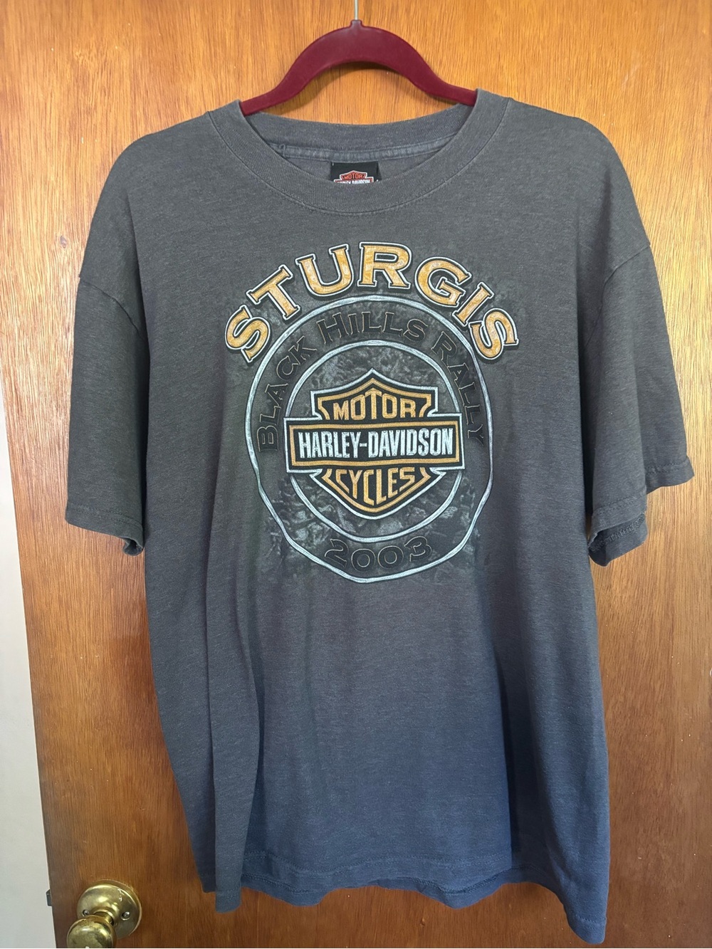 Harley-Davidson Charcoal Sturgis Graphic Tee with Yellow Accents